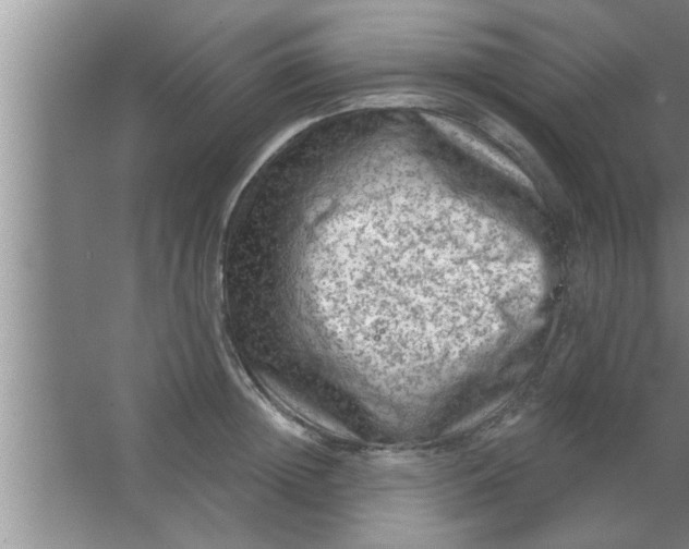 X0000063480852200602031924