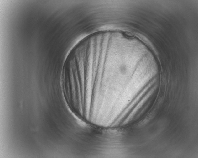 X0000063480855200602031924