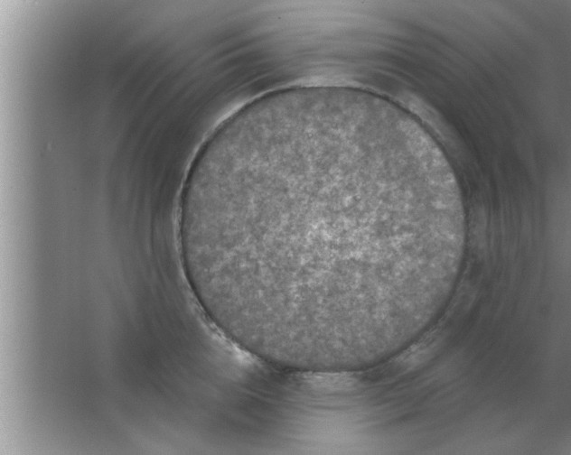 X0000063480856200602031924