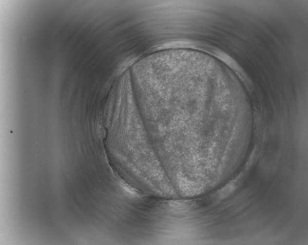 X0000063480857200602031924