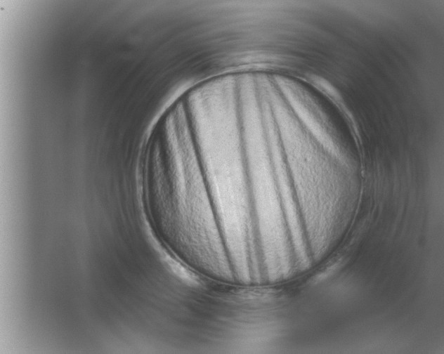 X0000063480859200602031924