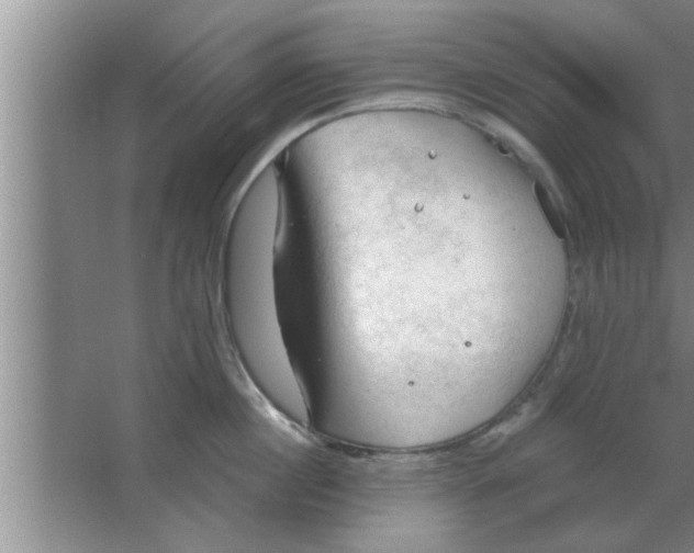 X0000063480860200602031924