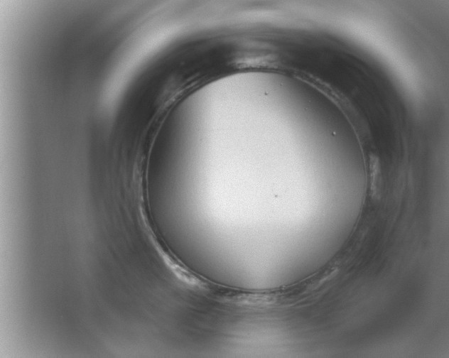 X0000063480861200602031924