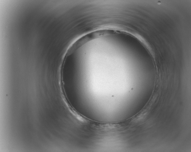 X0000063480862200602031924