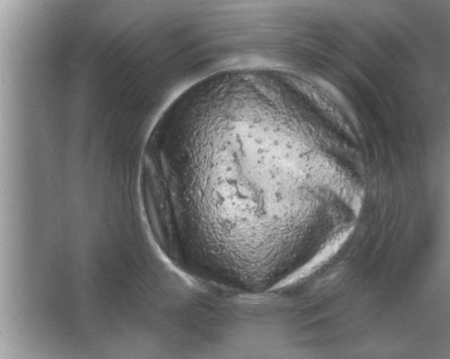 X0000063480863200602031924