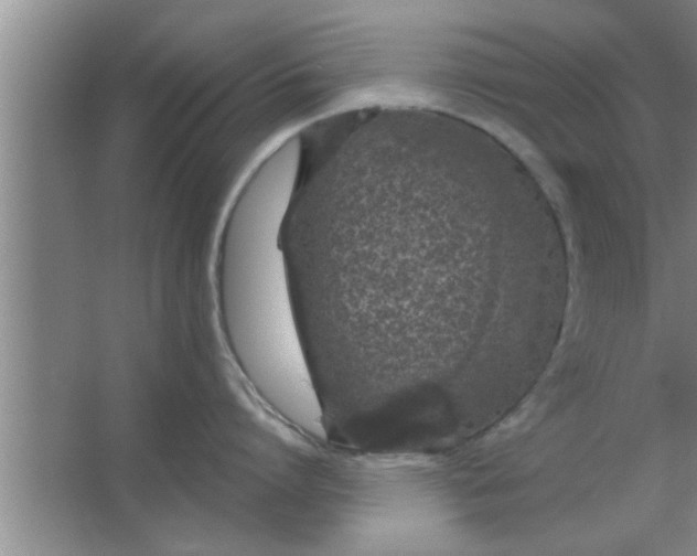 X0000063480864200602031924