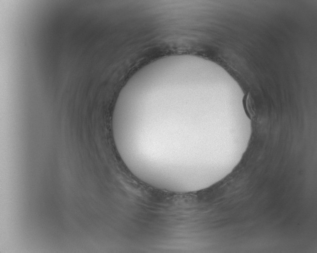 X0000063480865200602031923