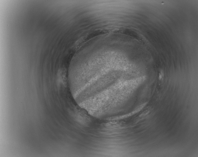 X0000063480867200602031923