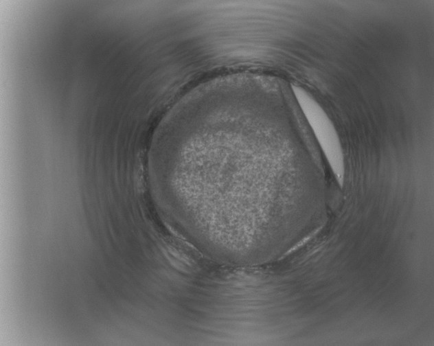 X0000063480868200602031923