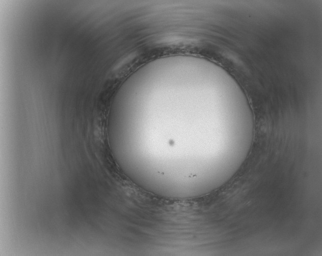 X0000063480869200602031923