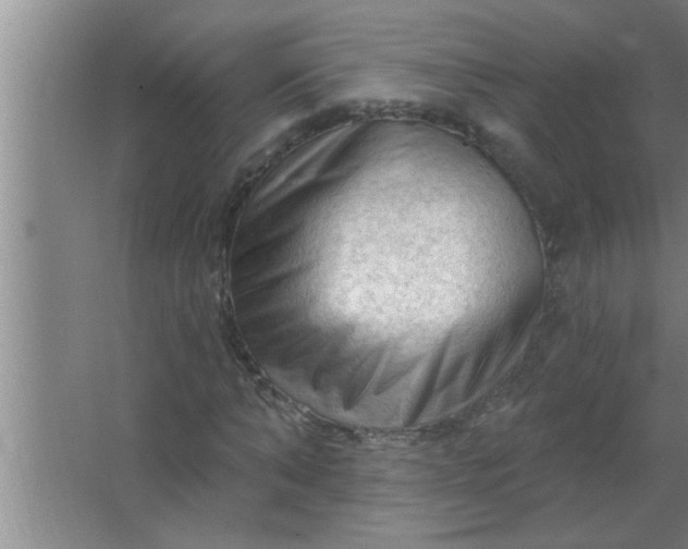 X0000063480870200602031923