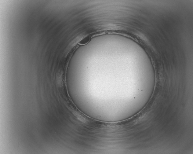 X0000063480873200602031923