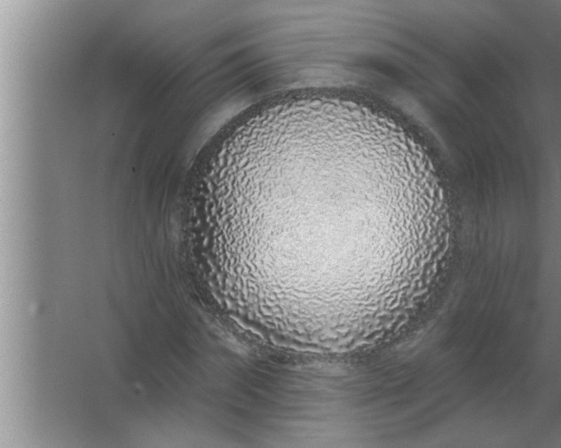 X0000063480874200602031923