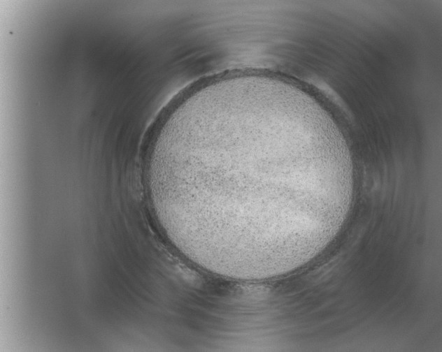 X0000063480878200602031923