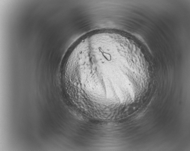 X0000063480879200602031923