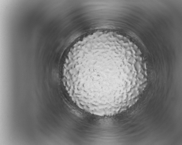 X0000063480882200602031923