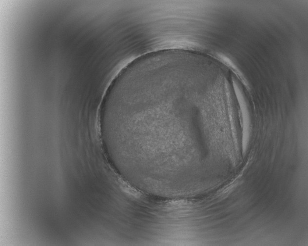 X0000063480883200602031923