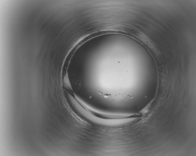 X0000063480884200602031923