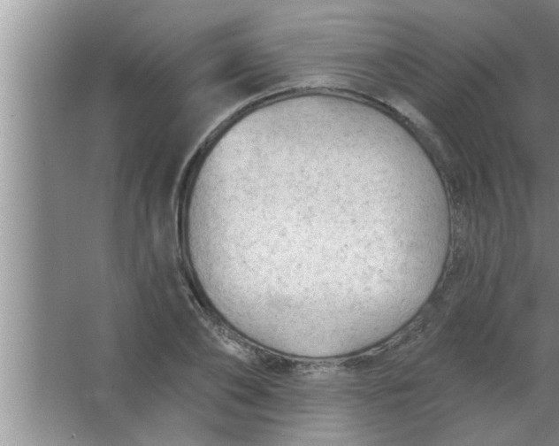 X0000063480886200602031923