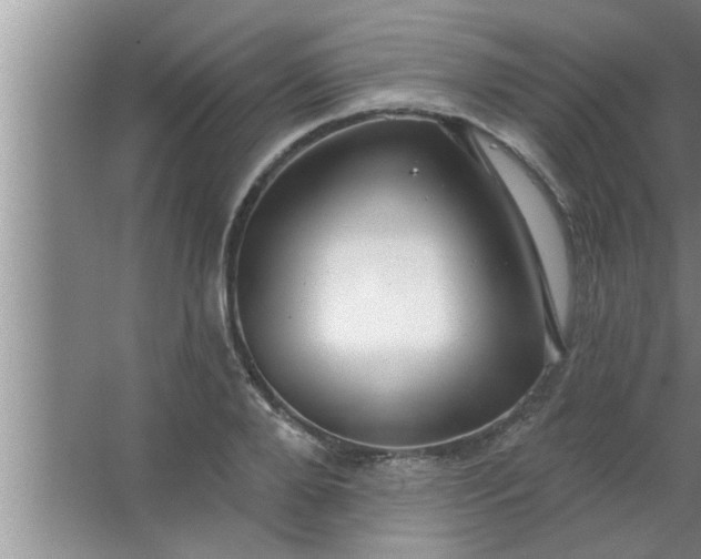 X0000063480888200602031923