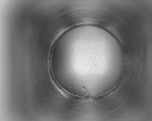 X0000063480890200602031923