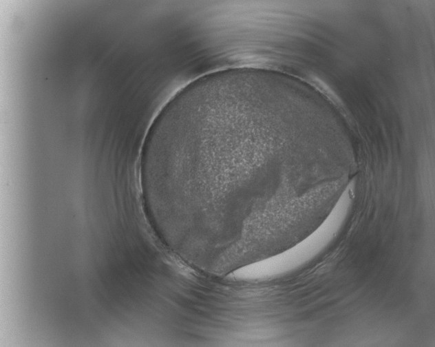 X0000063480891200602031923