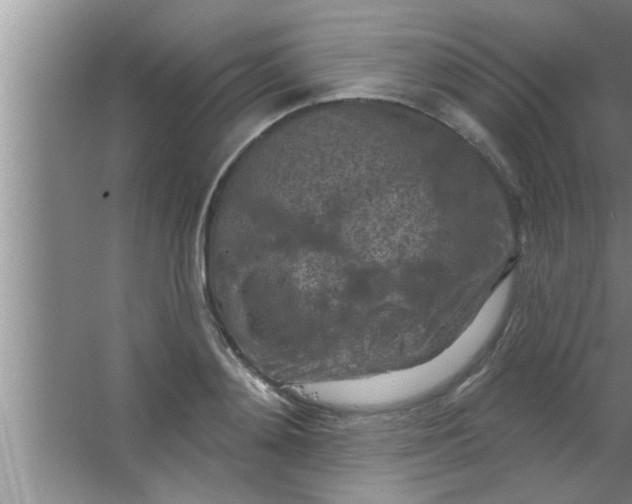 X0000063480892200602031923