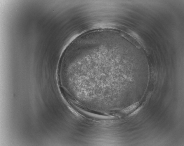 X0000063480893200602031923