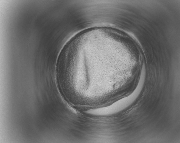 X0000063480895200602031922