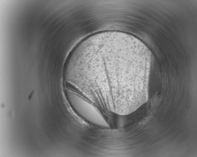 X0000063480896200602031922