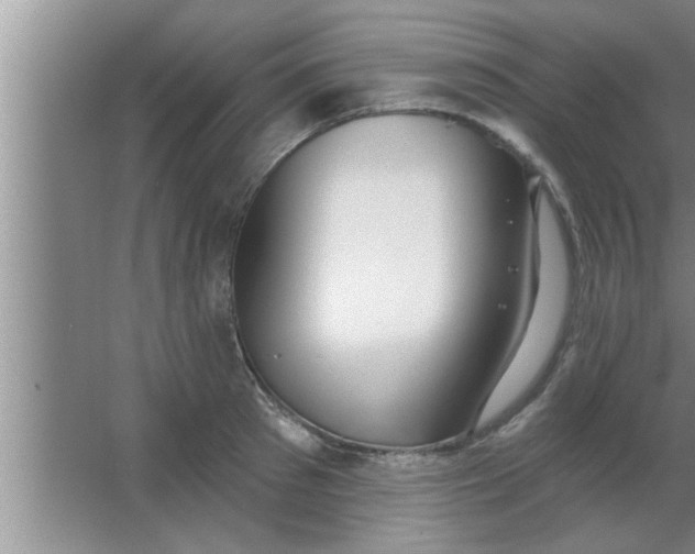 X0000063480897200602031922