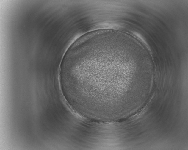 X0000063480899200602031922