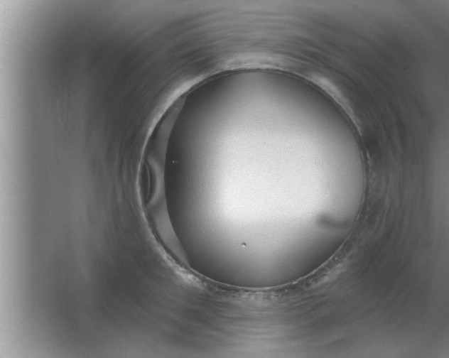 X0000063480901200602031922