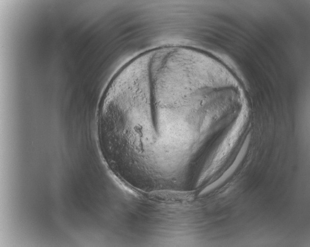 X0000063480903200602031922