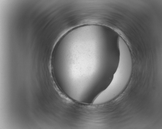 X0000063480904200602031922