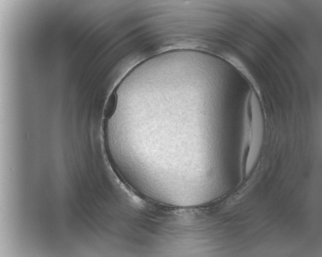 X0000063480906200602031922