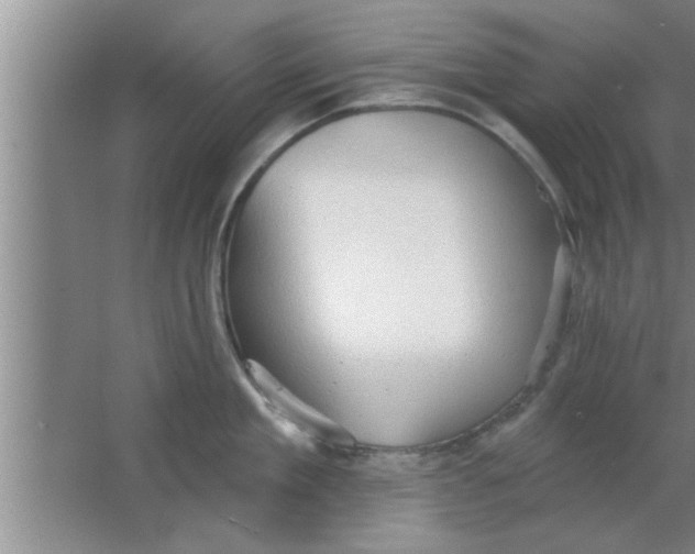 X0000063480909200602031922