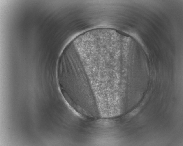 X0000063480910200602031922