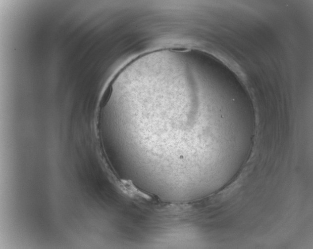 X0000063480912200602031922