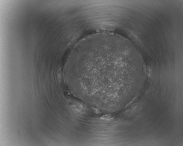 X0000063480915200602031921