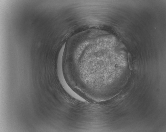 X0000063480916200602031921