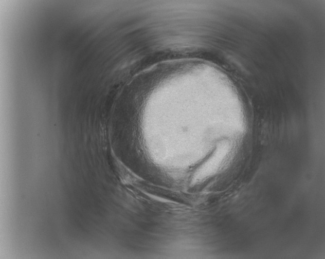 X0000063480917200602031921