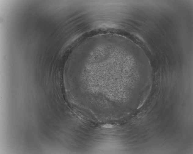 X0000063480919200602031921