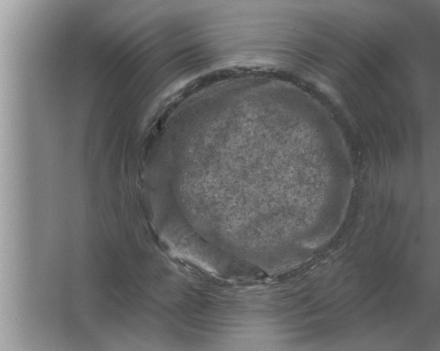 X0000063480920200602031922