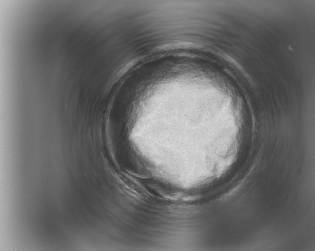 X0000063480921200602031922