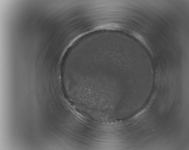 X0000063480923200602031922