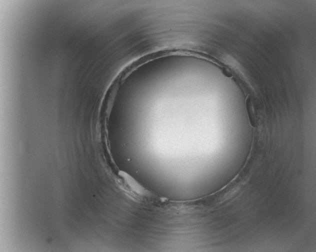 X0000063480924200602031922