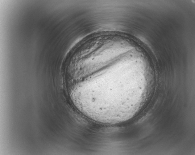 X0000063480925200602031922