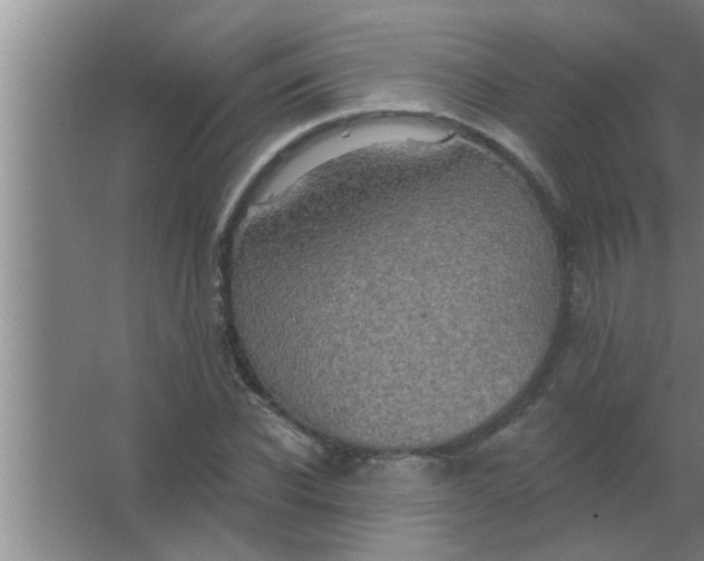 X0000063480926200602031922