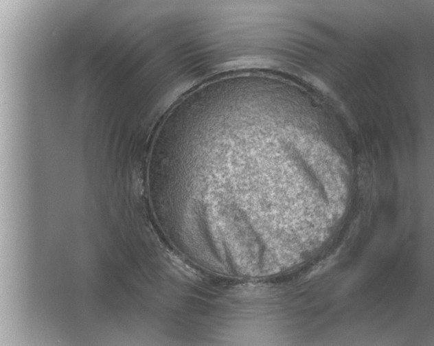 X0000063480929200602031922